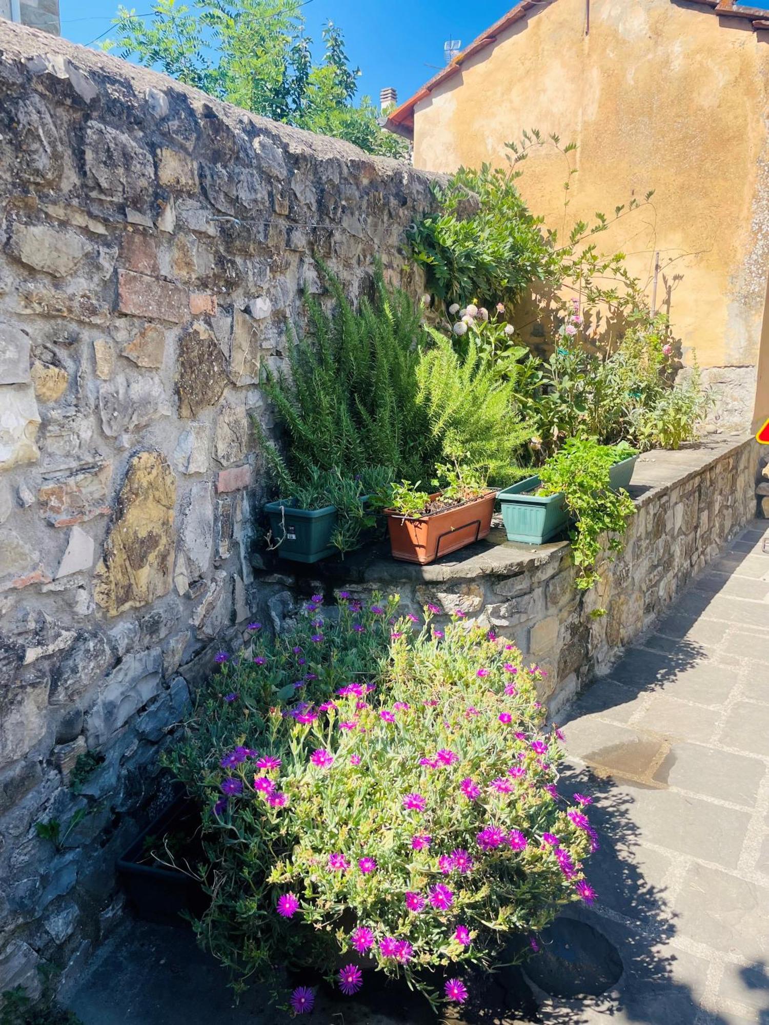 “Da Paolino” Villa Borgo alla Collina Exterior photo